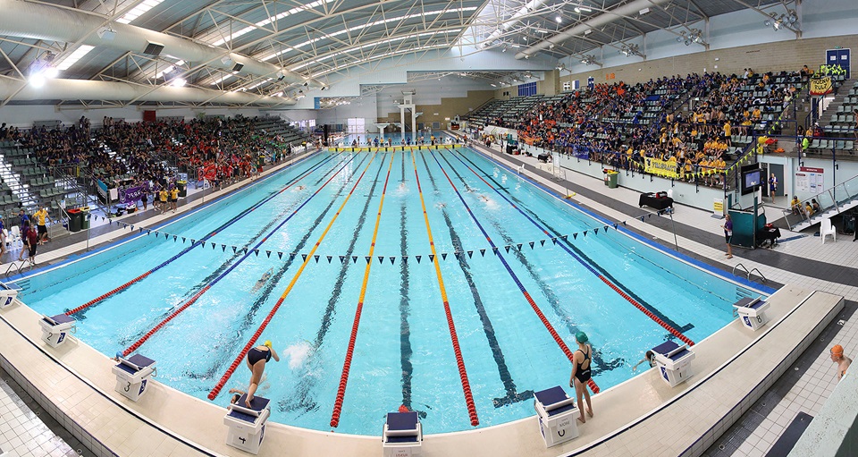 school swimming carnival