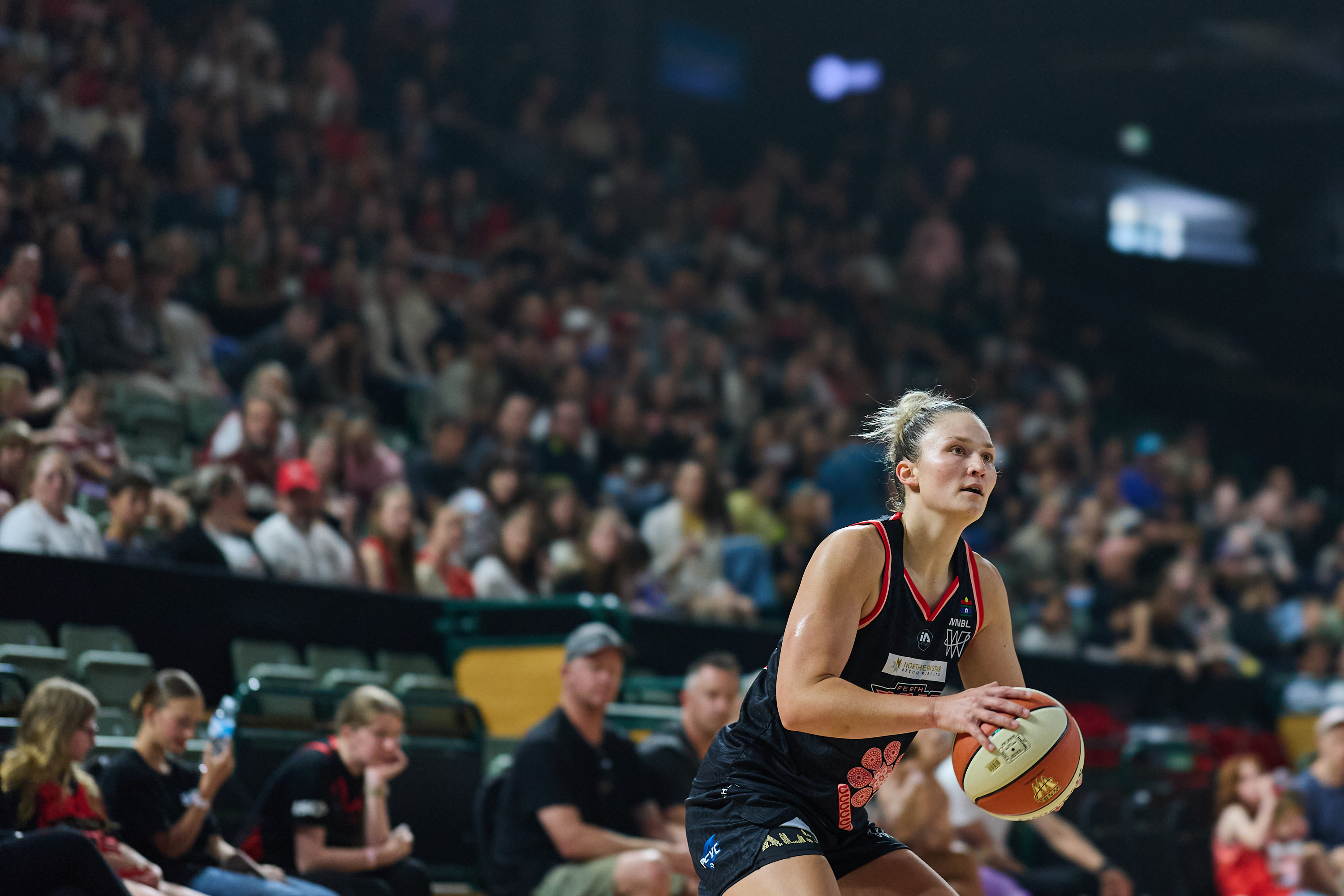 Telerik.Sitefinity.Libraries.Model.Image?.AlternativeText